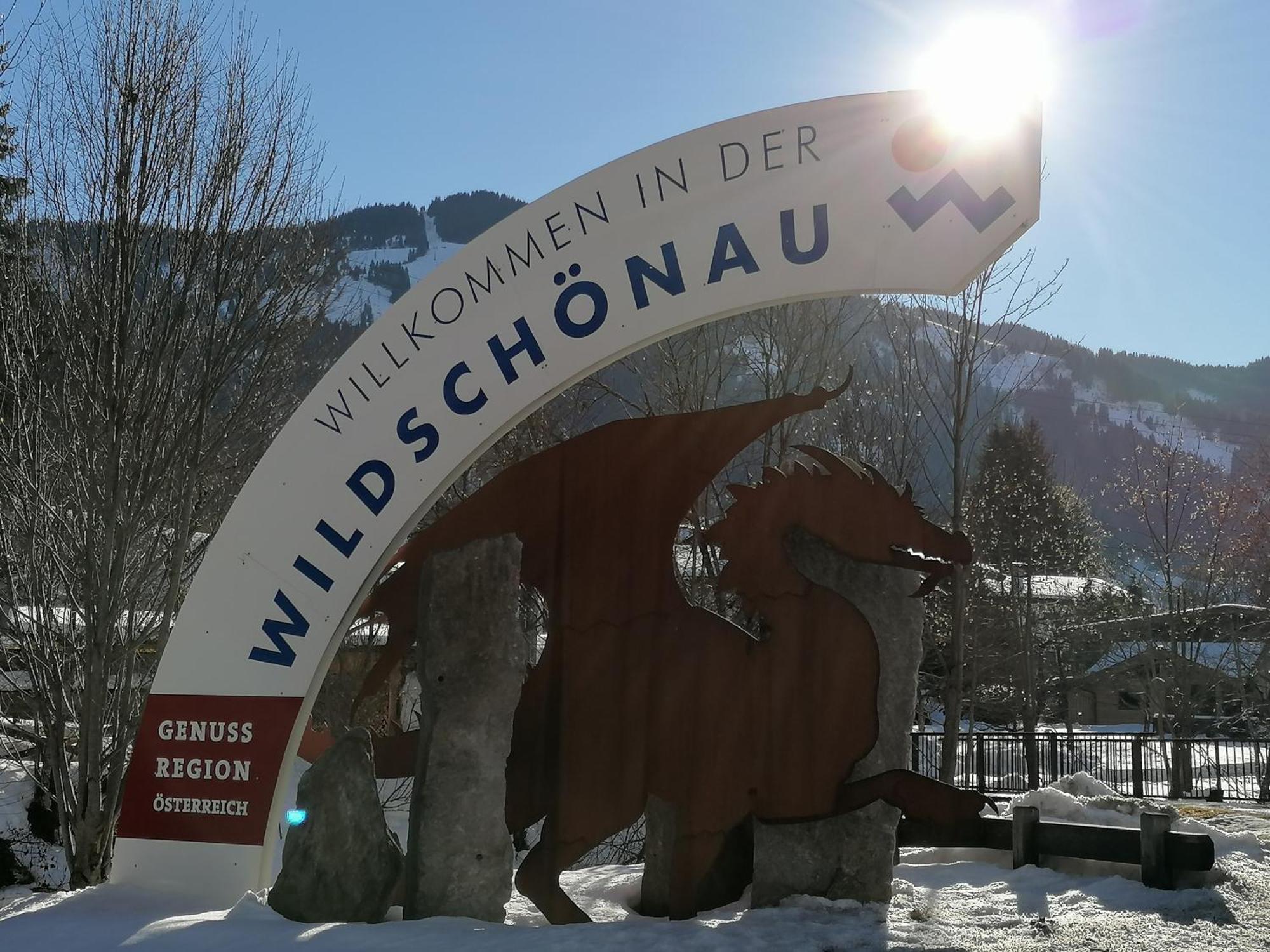 Wimmers Hundsegghof Wild001 Niederau Eksteriør bilde